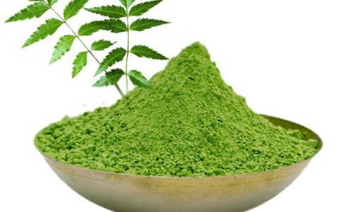 7 Big Reasons to Add Neem Powder to Your Daily Routine