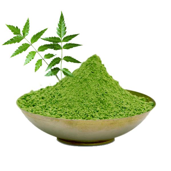 7 Big Reasons to Add Neem Powder to Your Daily Routine 